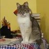 Отзыв от Валентина Дорохова